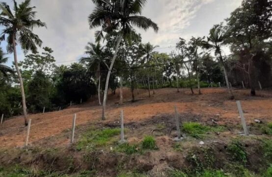 Land for sale