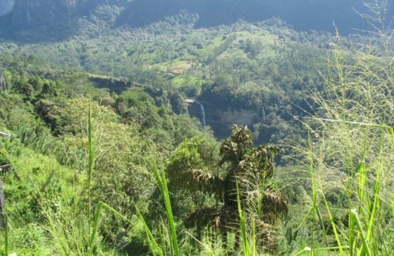 Scenic 48-Acre Property for Sale  – Near Adam’s Peak &#038; Laxapana Falls