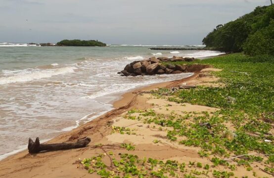 Beachfront Land for Sale in | Prime Investment Opportunity