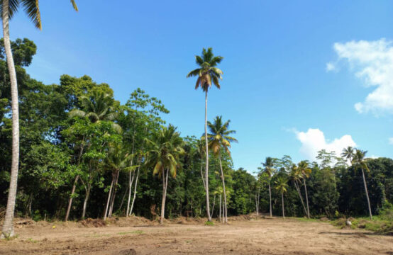 Prime Land for Sale Near Ahangama &#038; Midigama &#8211; Ideal for Tourism Development