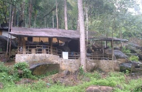 Exclusive 4-Acre Eco Retreat Bordering Sinharaja Rainforest &#8211; A Rare Investment Opportunity