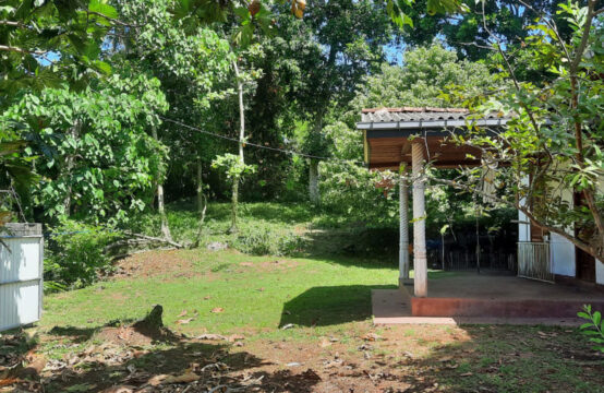 Charming Property for Sale Near Hikkaduwa &#038; Galle