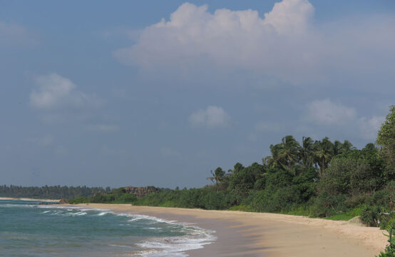 Exclusive Boutique Beachfront Resort for Sale in Sri Lanka