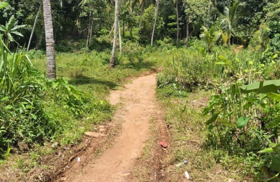 Prime Land for Sale in Pinnaduwa – 210 Perches